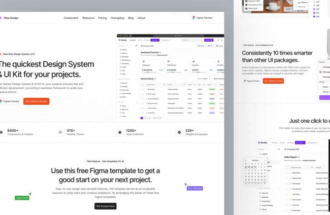 NexGen Web Portal for Acme CX Solutions